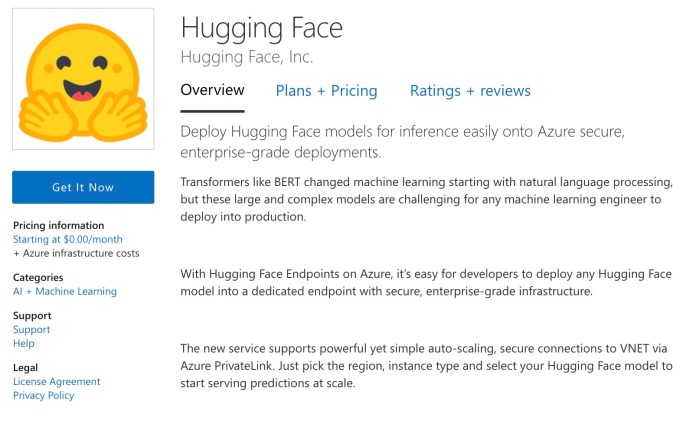 Hugging Face Endpoints on Azure