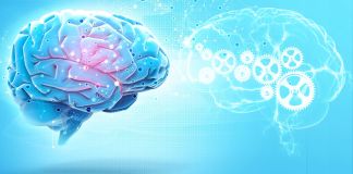 human brains and AI