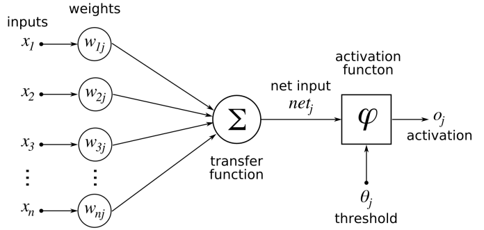 artificial neuron structure